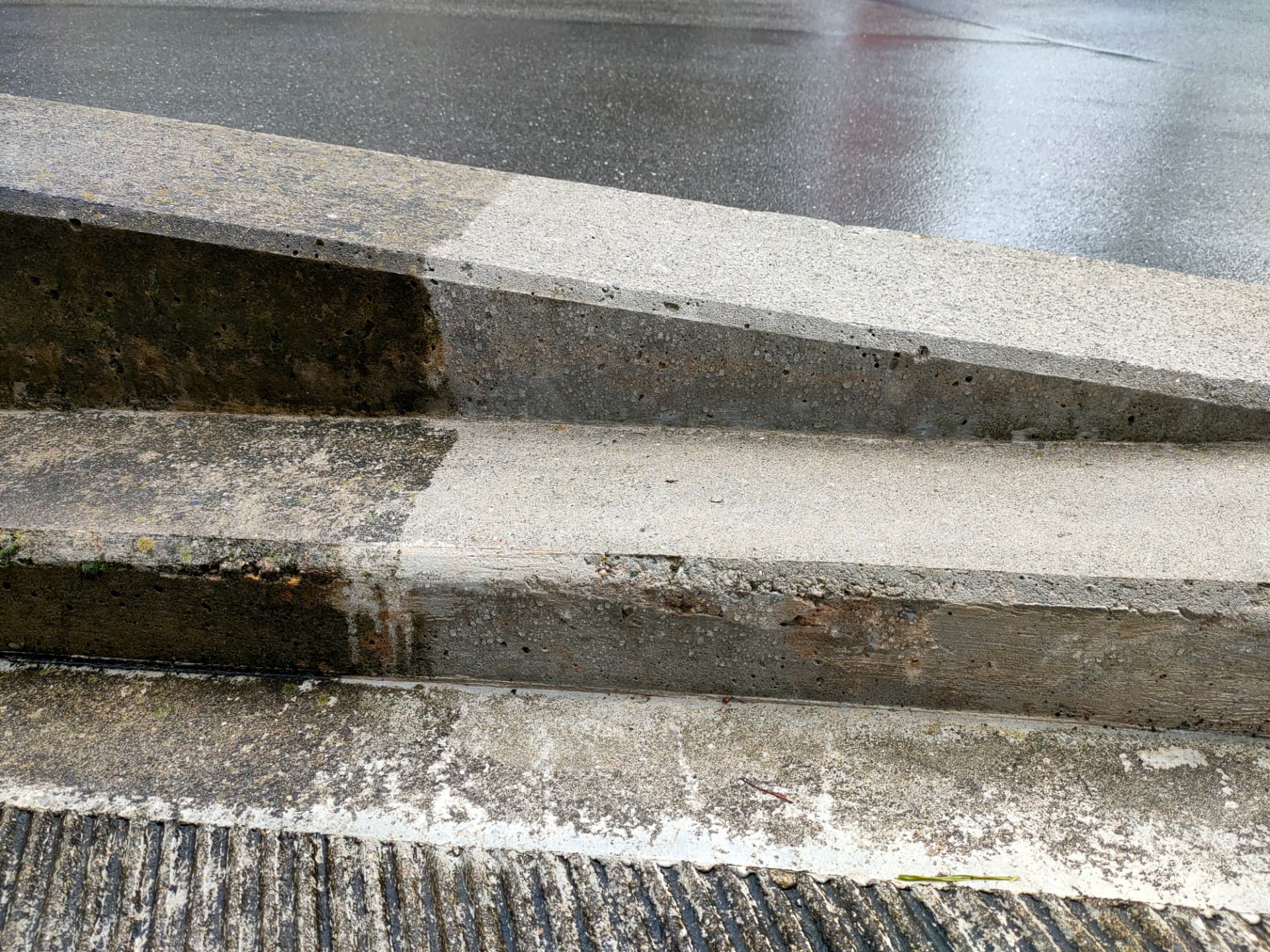 Concrete steps after years outdoors: the treated area stays clean while the untreated part shows algae, moss and dirt.
