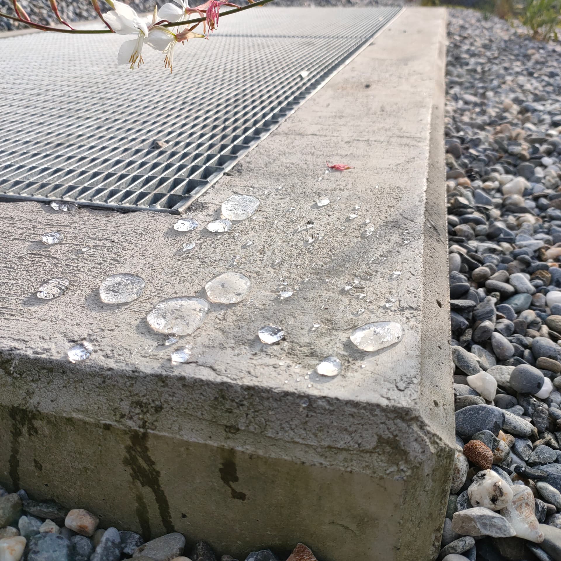 Treated exposed concrete outdoors: water forms beads and runs off instead of penetrating.