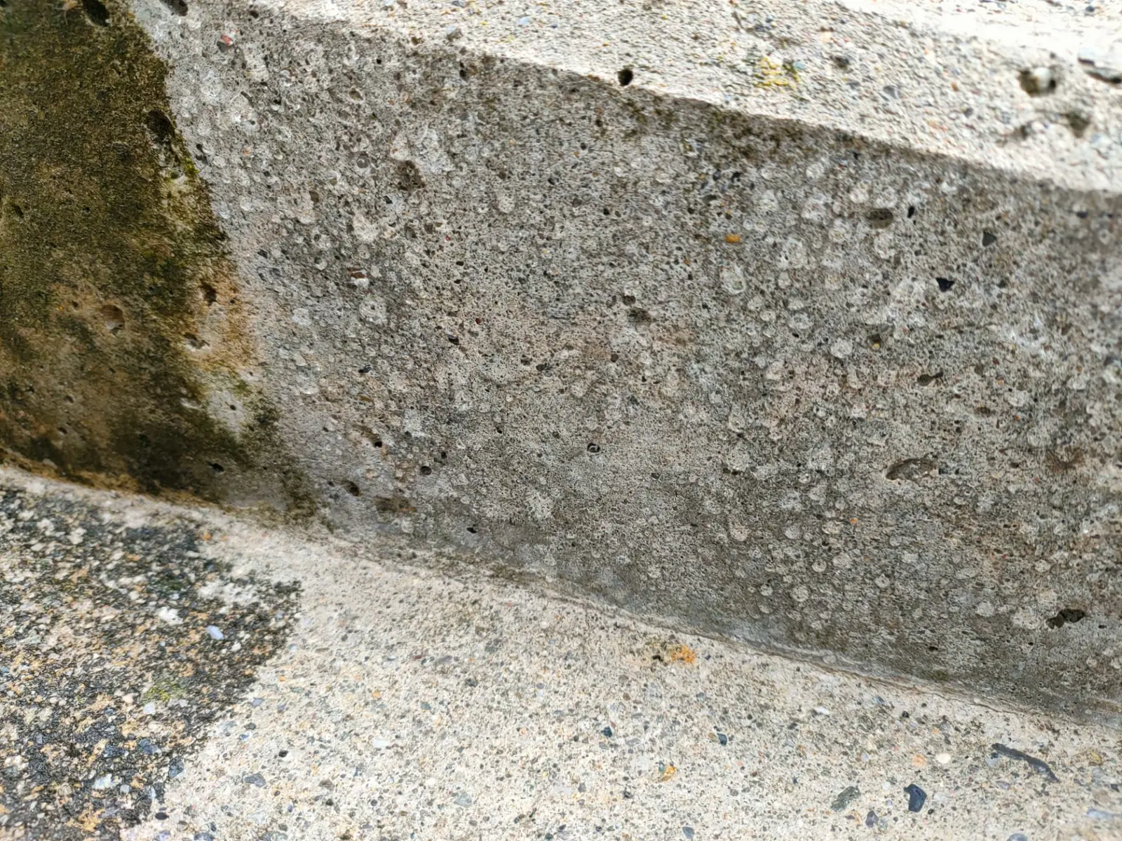 Το ανεπεξέργαστο σκυρόδεμα απορροφά υγρασία – προϋπόθεση για ανάπτυξη βρύων/άλγης, εξανθήματα και ζημιές από παγετό.